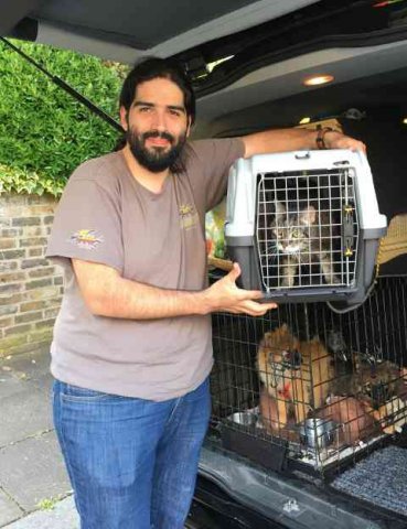 Benny and Pooky just arriving at their new home in London, after travelling over from Lisbon.